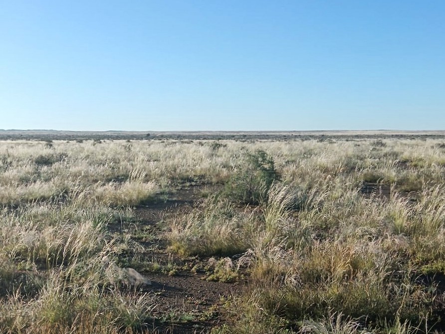 Commercial Property for Sale in Brandvlei Northern Cape